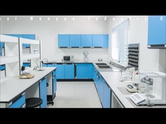 Epoxidharz-Standardwerkstatt aus China Wenyou Industrie